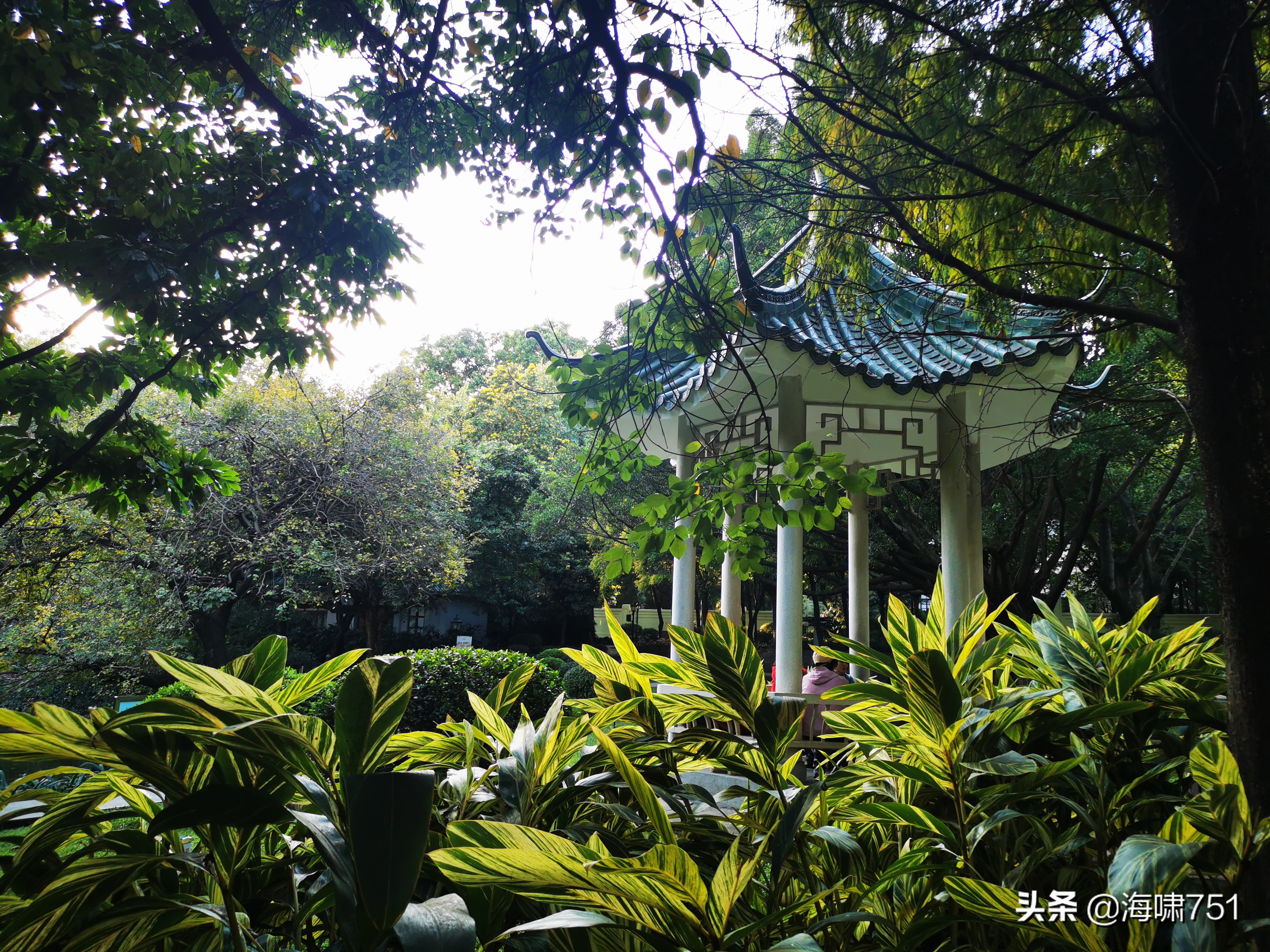 黄花岗公园开放时间,黄花岗公园停车