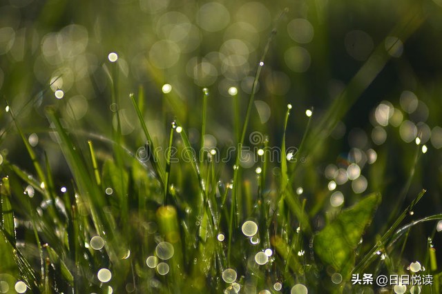 科普爱科学,科普什么是爱国