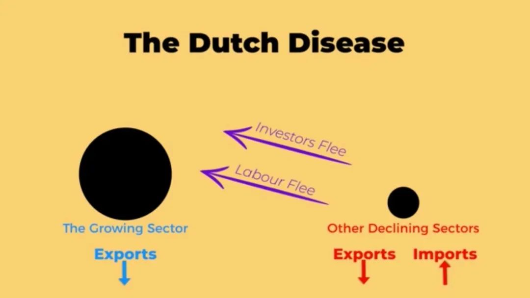 现在的荷兰是怎么崛起的,荷兰为什么这么富