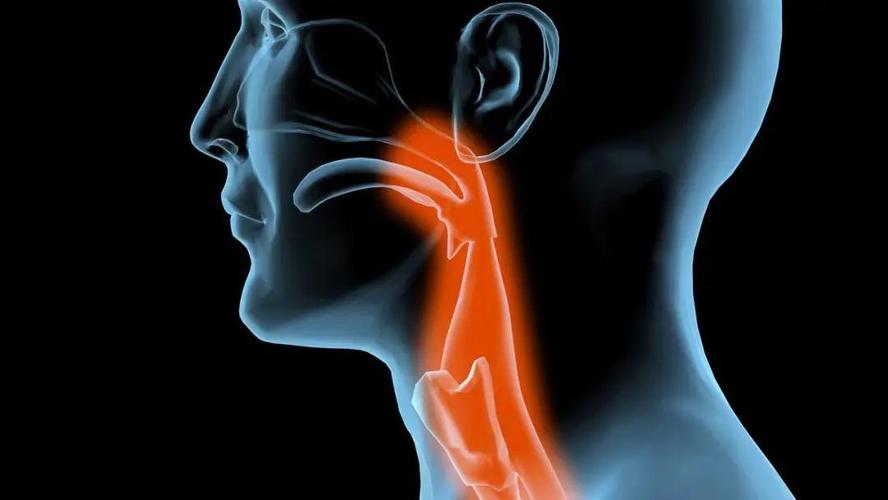 你家卖的鱼有鱼刺吗,吃了鱼让鱼刺卡着了怎么弄