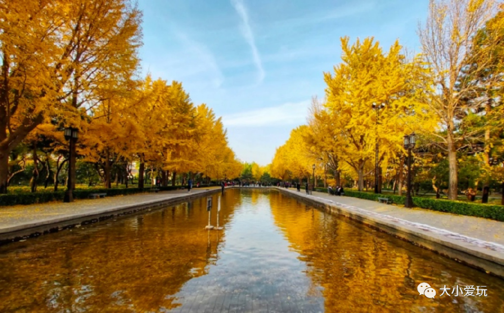 京城赏秋打卡胜地,北京赏秋小众景区