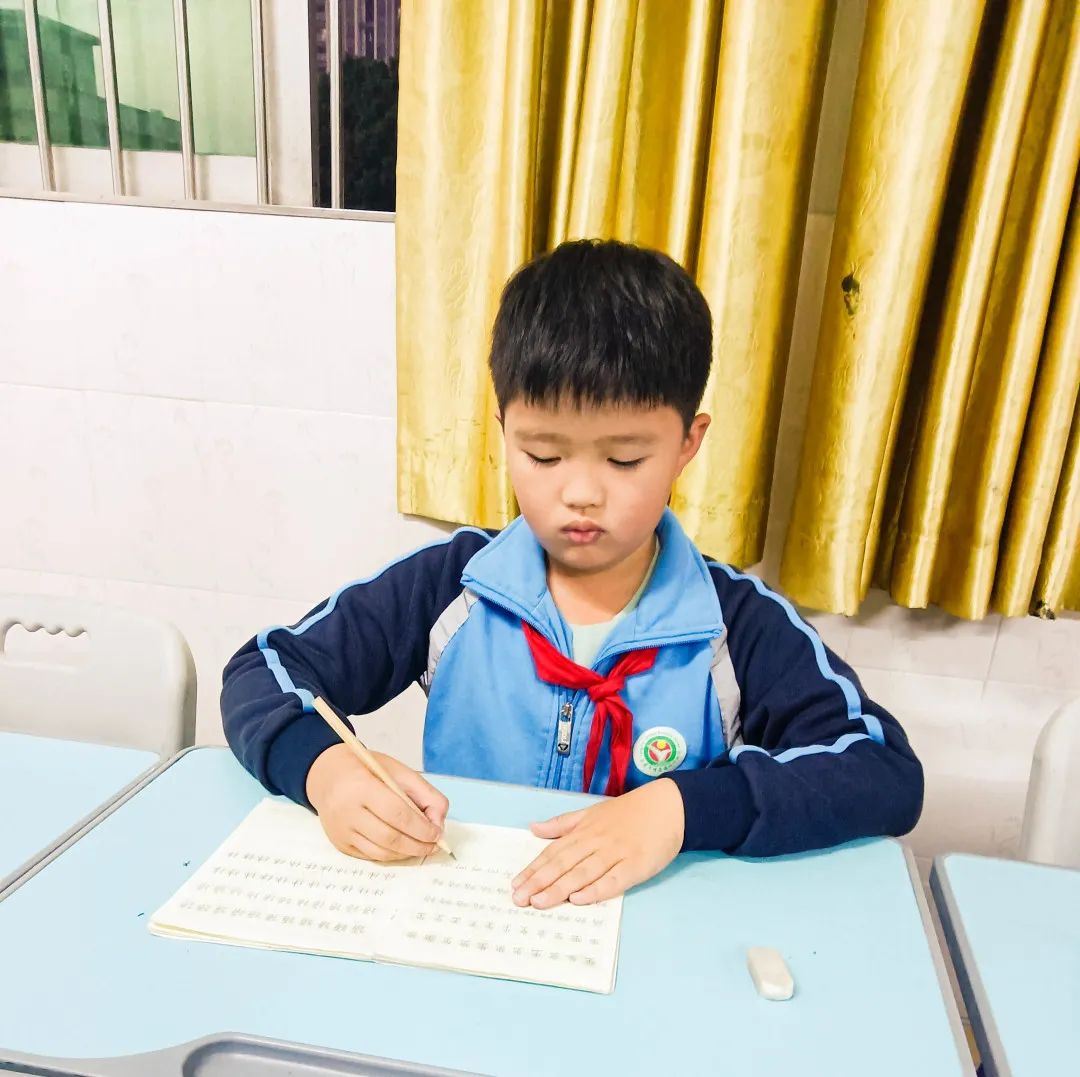 东莞市塘厦镇林村小学校园,东莞市塘厦镇林村小学