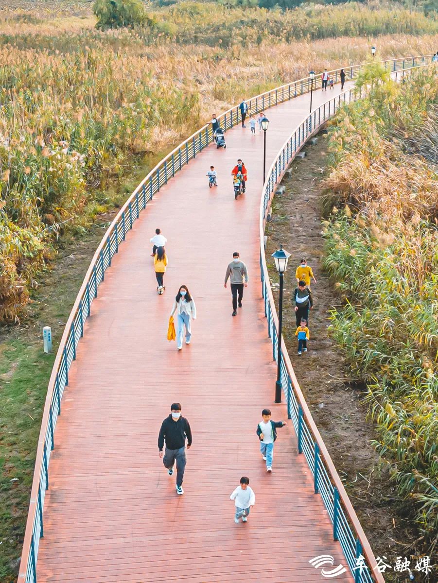最美绿道骑行攻略,淘金山骑行绿道和东湖骑行绿道
