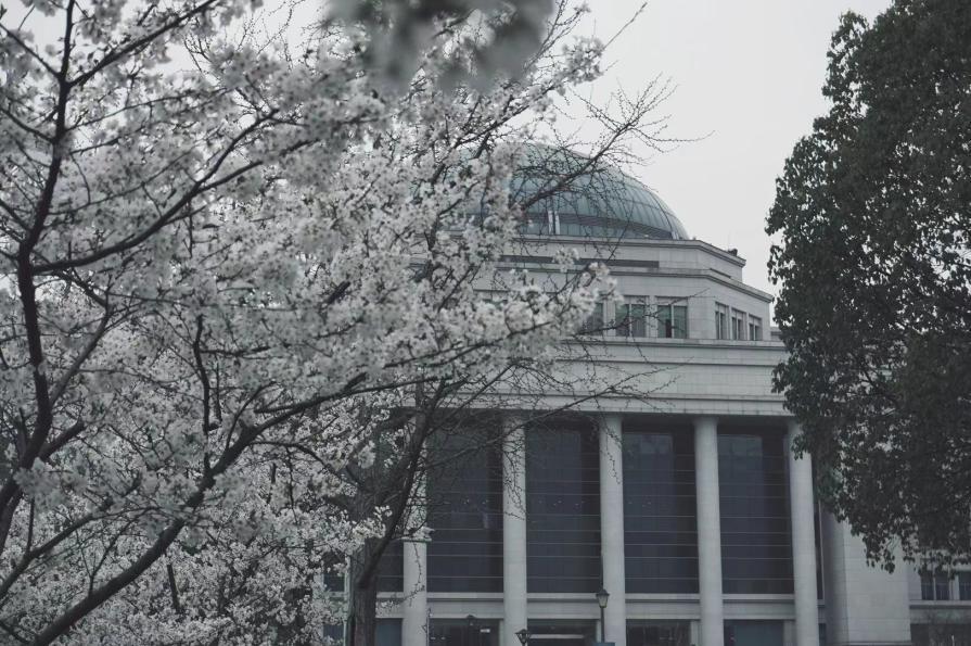 浙江大学新传考研难不难,新传浙江工业大学考研