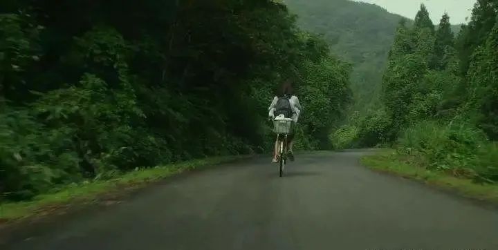 遭到网暴该如何回归正常生活,面对网暴我应该怎么办