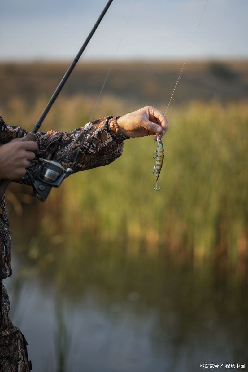 威美特,威海台钓鱼竿品牌