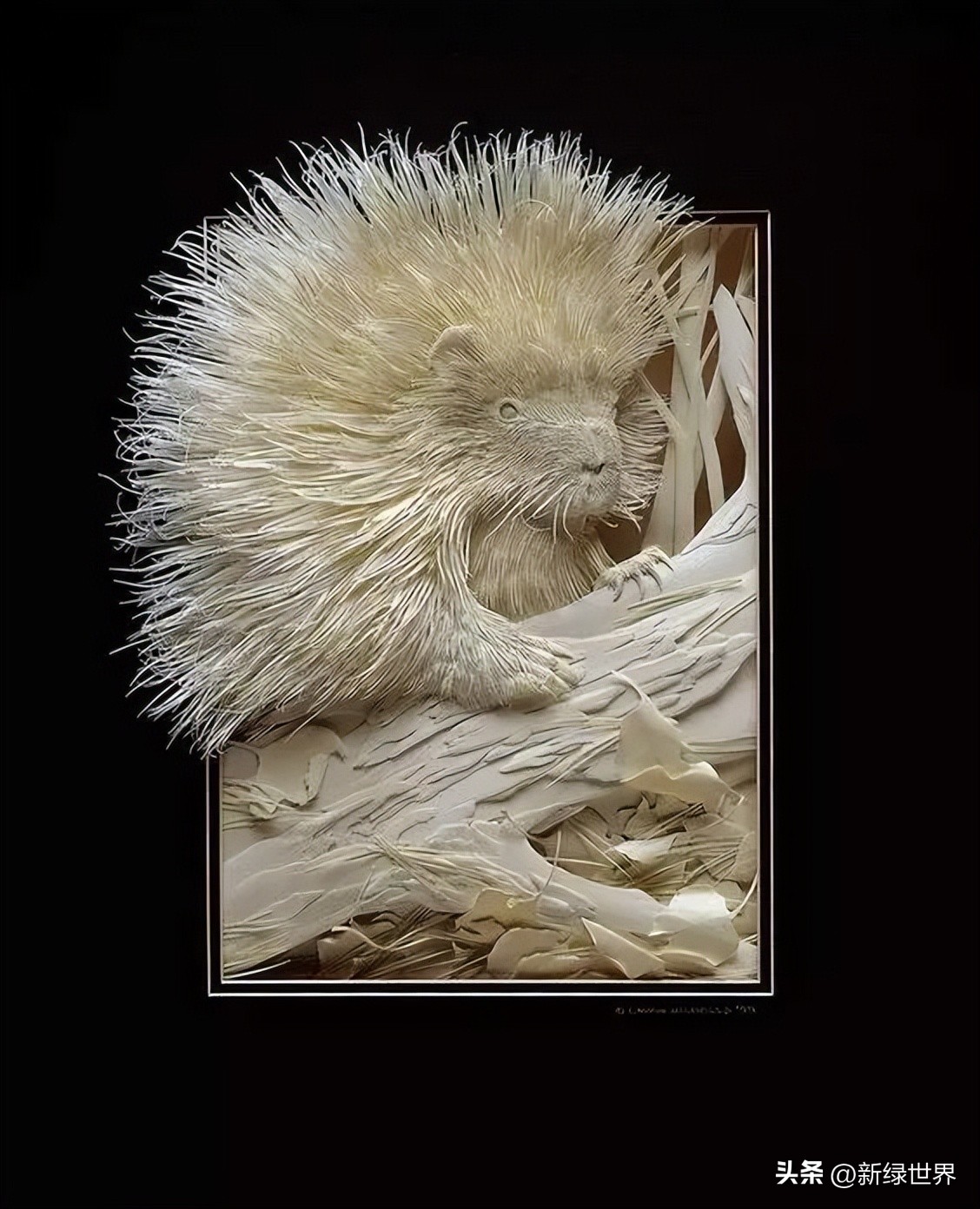 一组纸艺作品,令人惊艳的纸艺作品