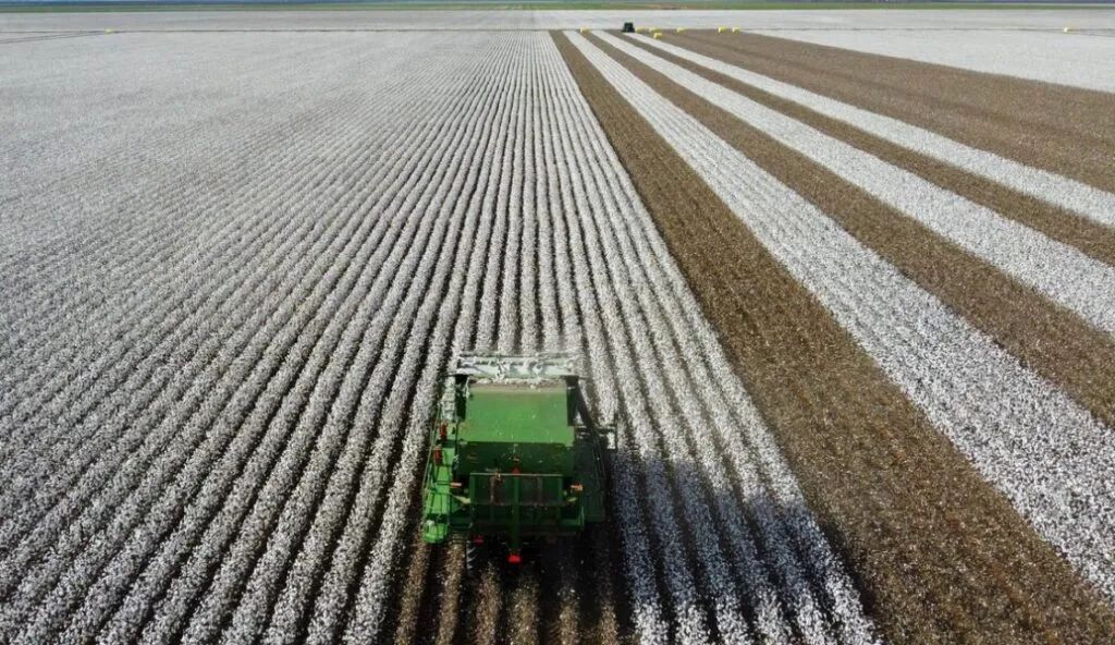 美国也阻挡不了崛起！中国服装商1.2亿澳元收购澳大利亚棉花农场