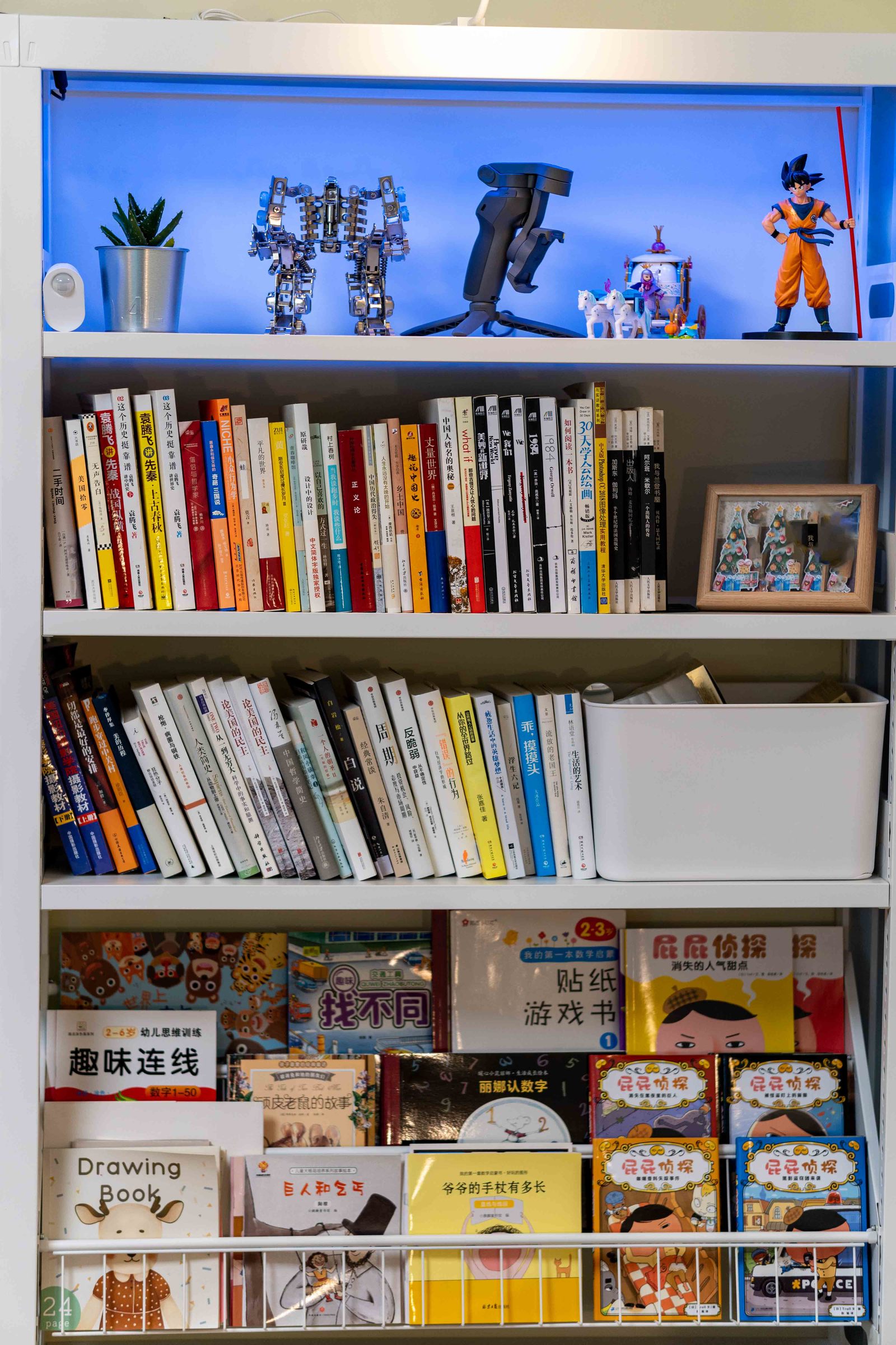 小户型图书馆书架客厅,图书馆书架放客厅