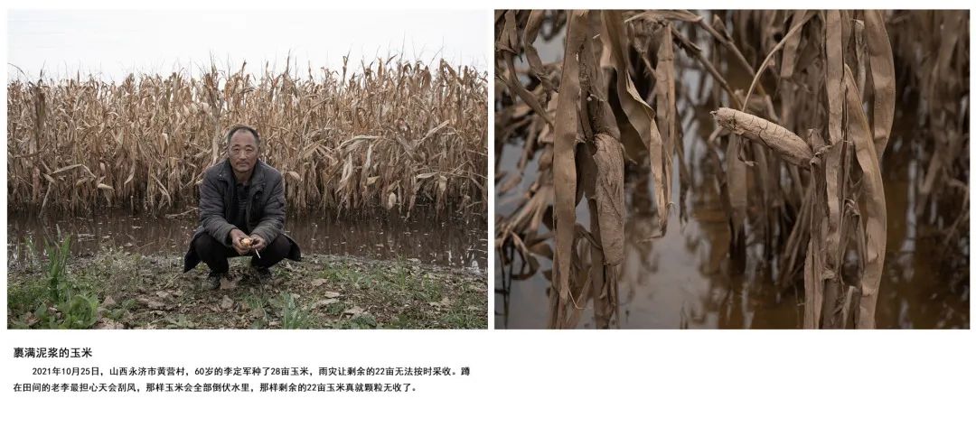 迎接党的20大美术作品,喜迎二十大乡村摄影展