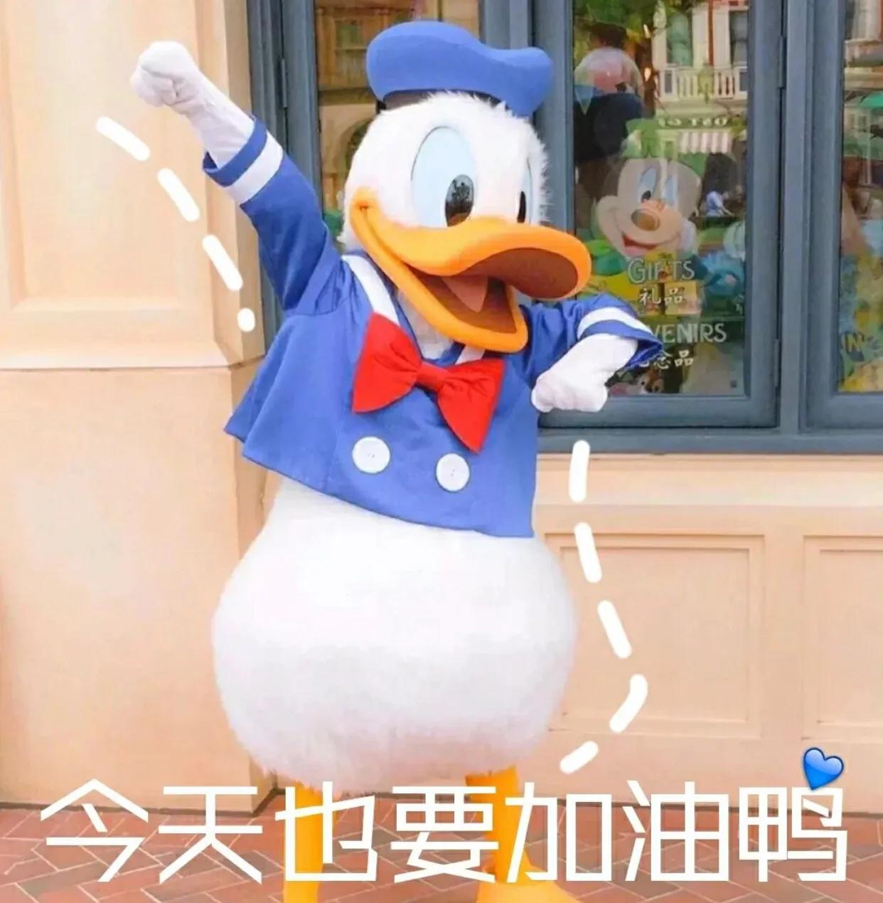 考教资一次上岸是什么体验,四川省考哪些好上岸