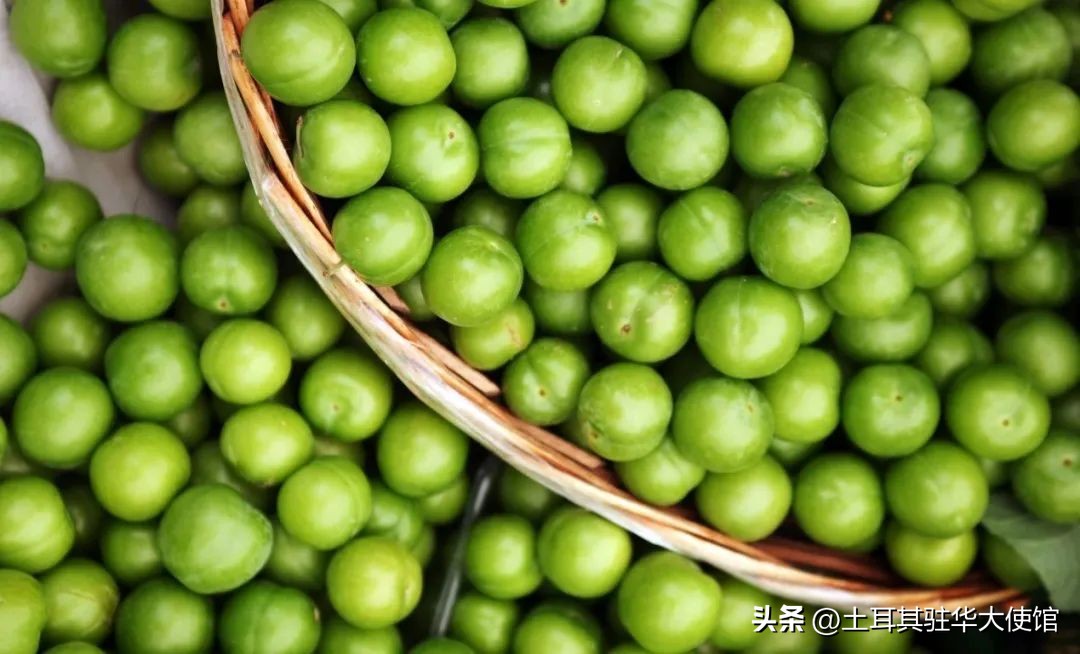 土耳其吃什么水果好,随季节变化而多吃应季食品