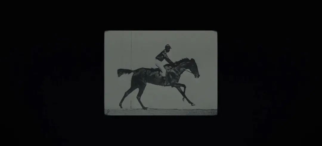 不要抬头看月亮知乎,不要抬头看月亮免费全文