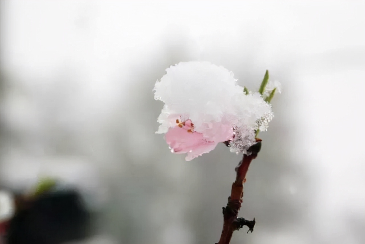 男人几天不联系聪明的你怎么回答,男人要是不想和女人联系说明什么