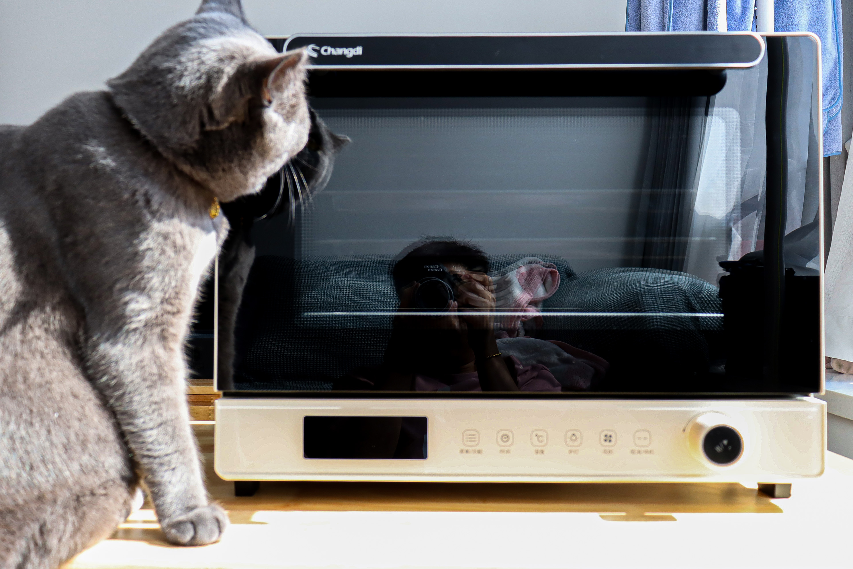 便宜没好货好吗,便宜没好货贵的才好用