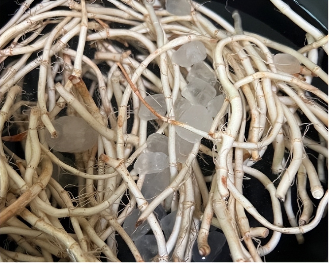 鱼腥草含一级致癌物，伤肾还致癌？折耳根还能吃吗？过度解读了！