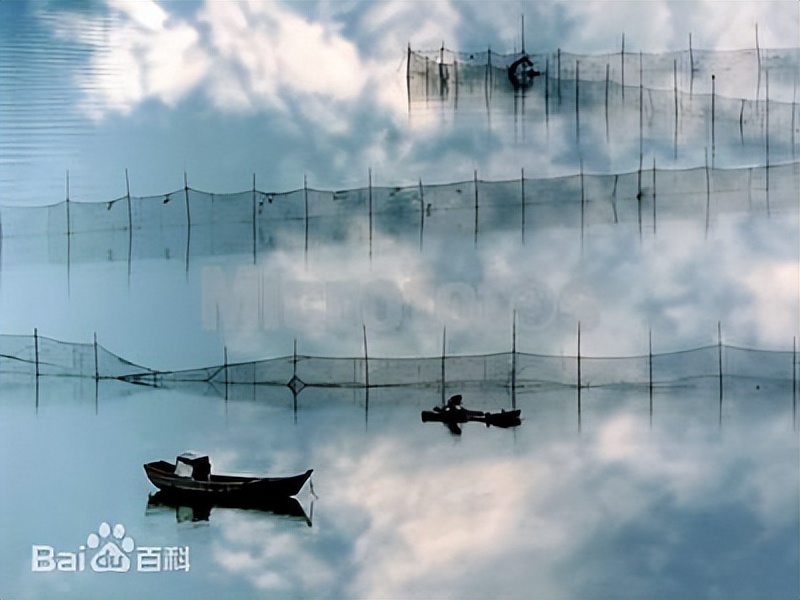 野外钓鱼专用渔网,自动钓鱼神器无需挂鱼料