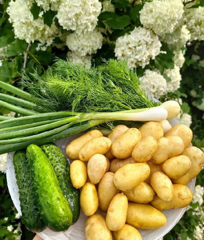 日寇残忍的犯罪活动,遭受过痛苦的日寇暴行