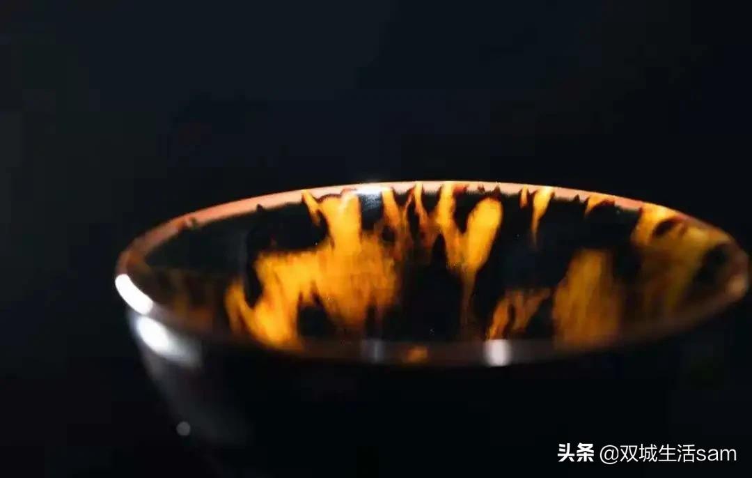 玳瑁为什么又是猫又是龟,玳瑁猫为啥叫玳瑁