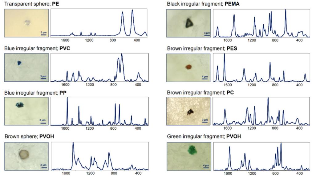 光谱探测细胞,科学家在人体中发现微塑料