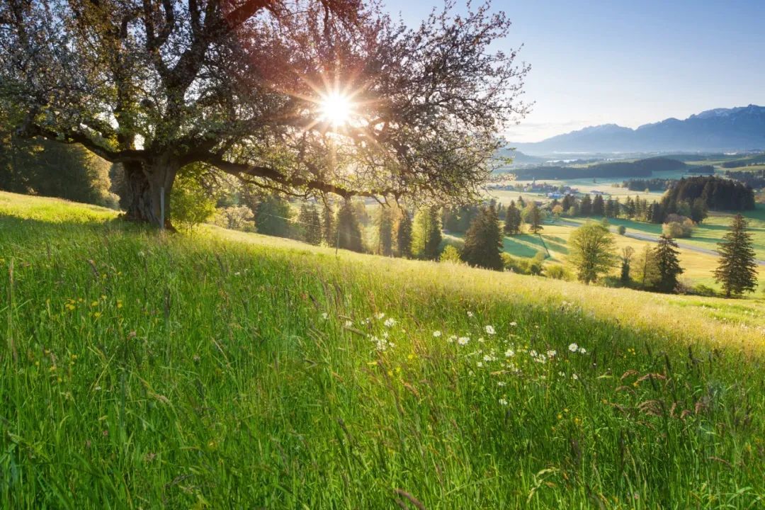 德国hipp喜宝奶粉2段多少毫升一勺,德国hipp喜宝适度水解奶粉600g