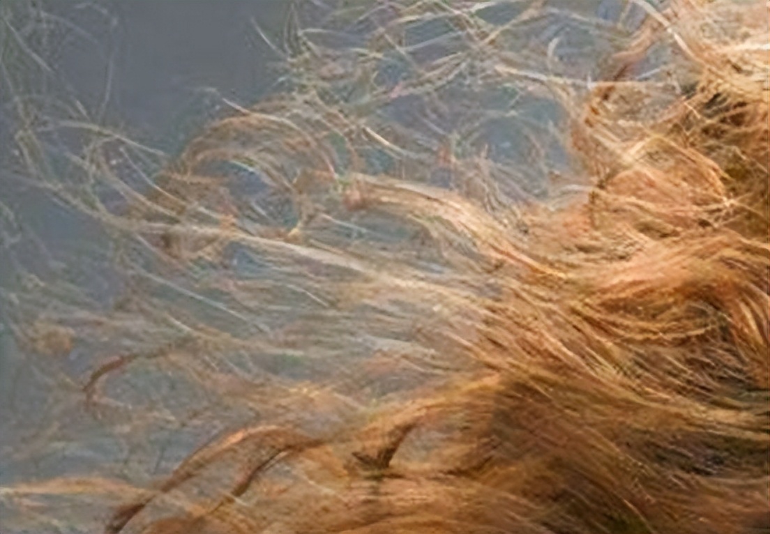 女子经常用艾叶洗头,艾叶煮水洗头副作用