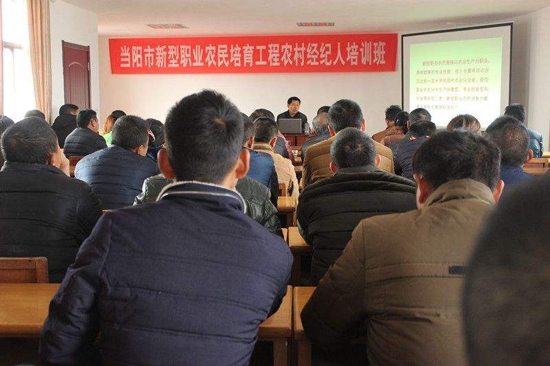 疫情之下打工难，返乡回村干啥好？4门生意干好比打工强