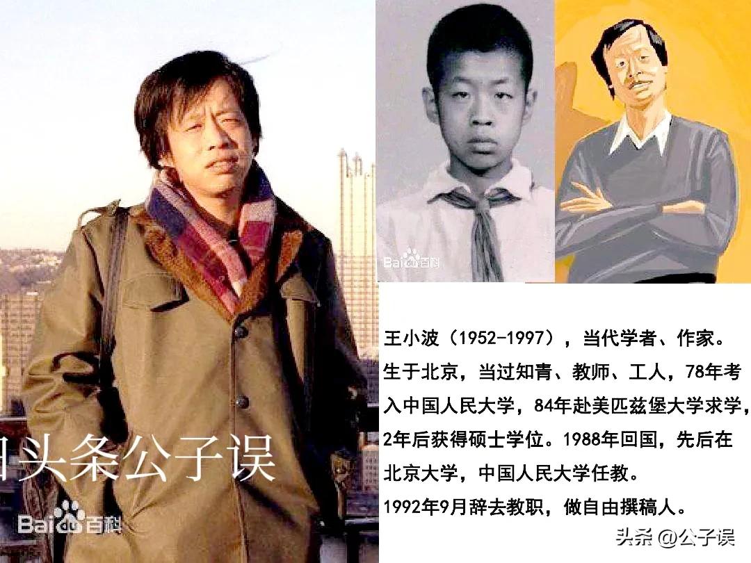 王小波为什么对李银河一见钟情,王小波情史