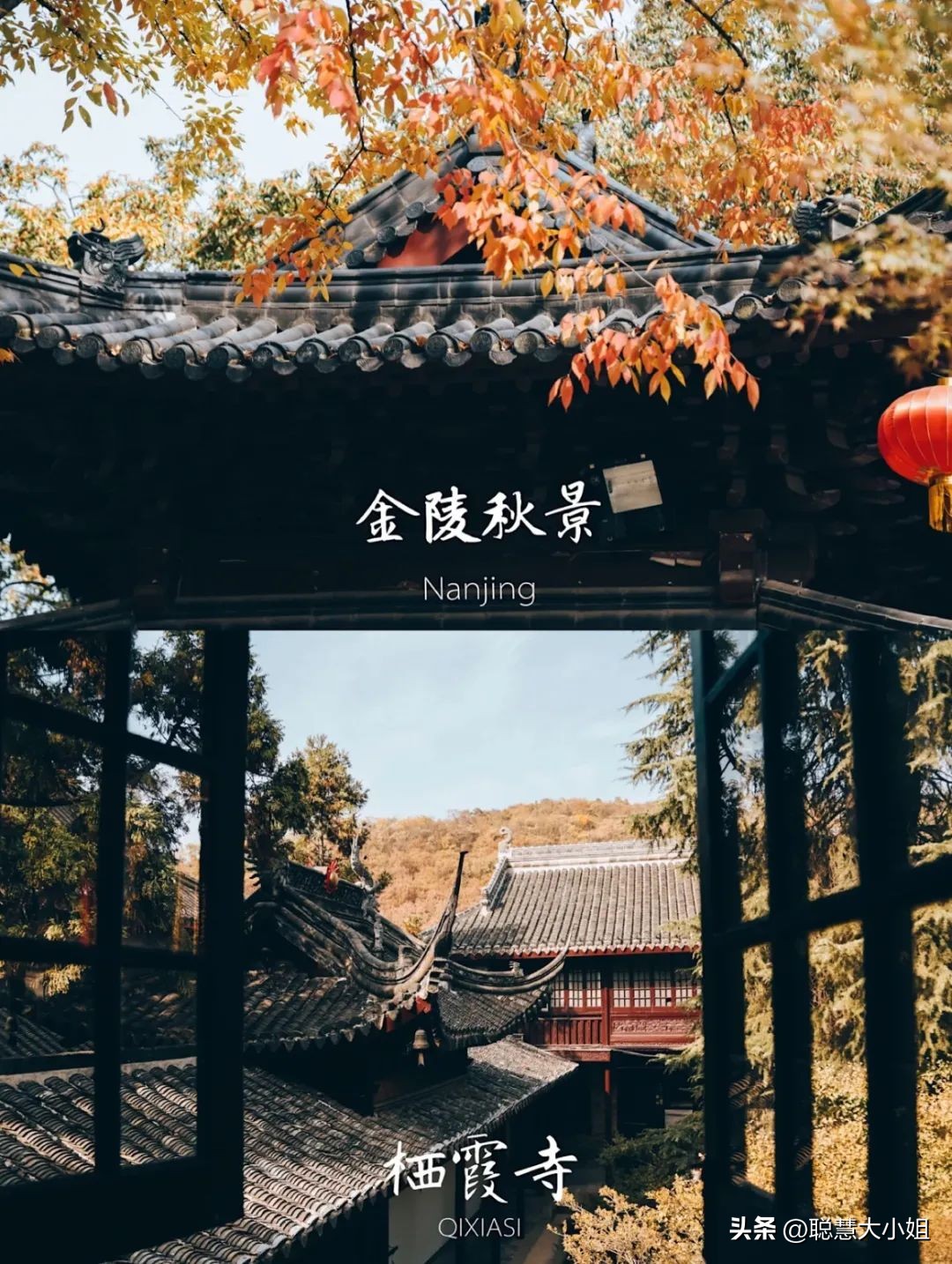 南京赏秋枫叶,南京秋天赏枫叶好去处