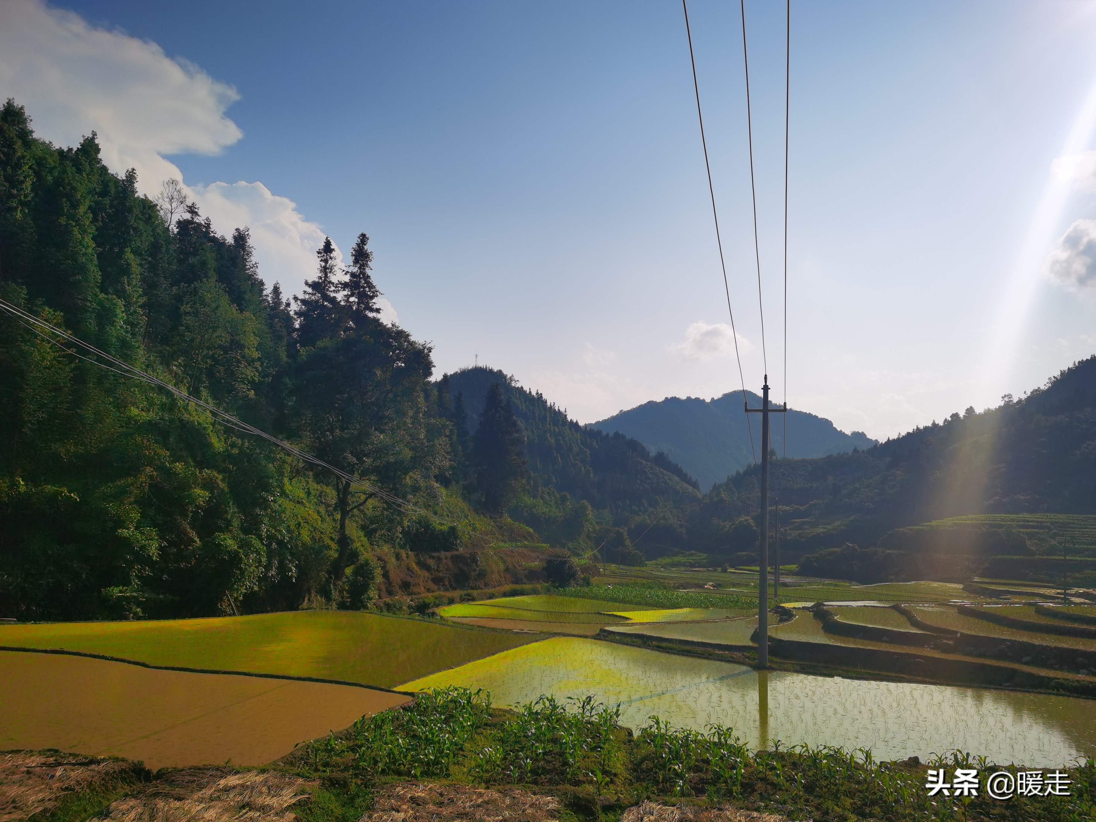 广西农民种田,乡村种田的生活视频