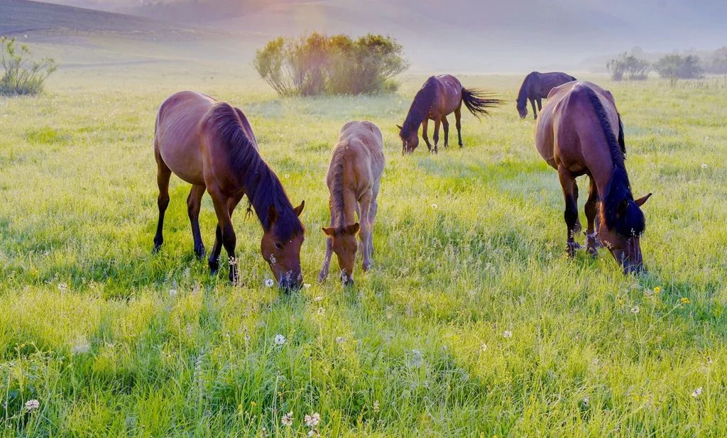 七月中国美如画，夏日避暑五十处