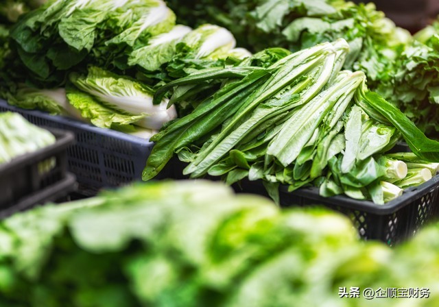 绿色环保蔬菜公司名字大全,蔬菜供应类公司起名大全