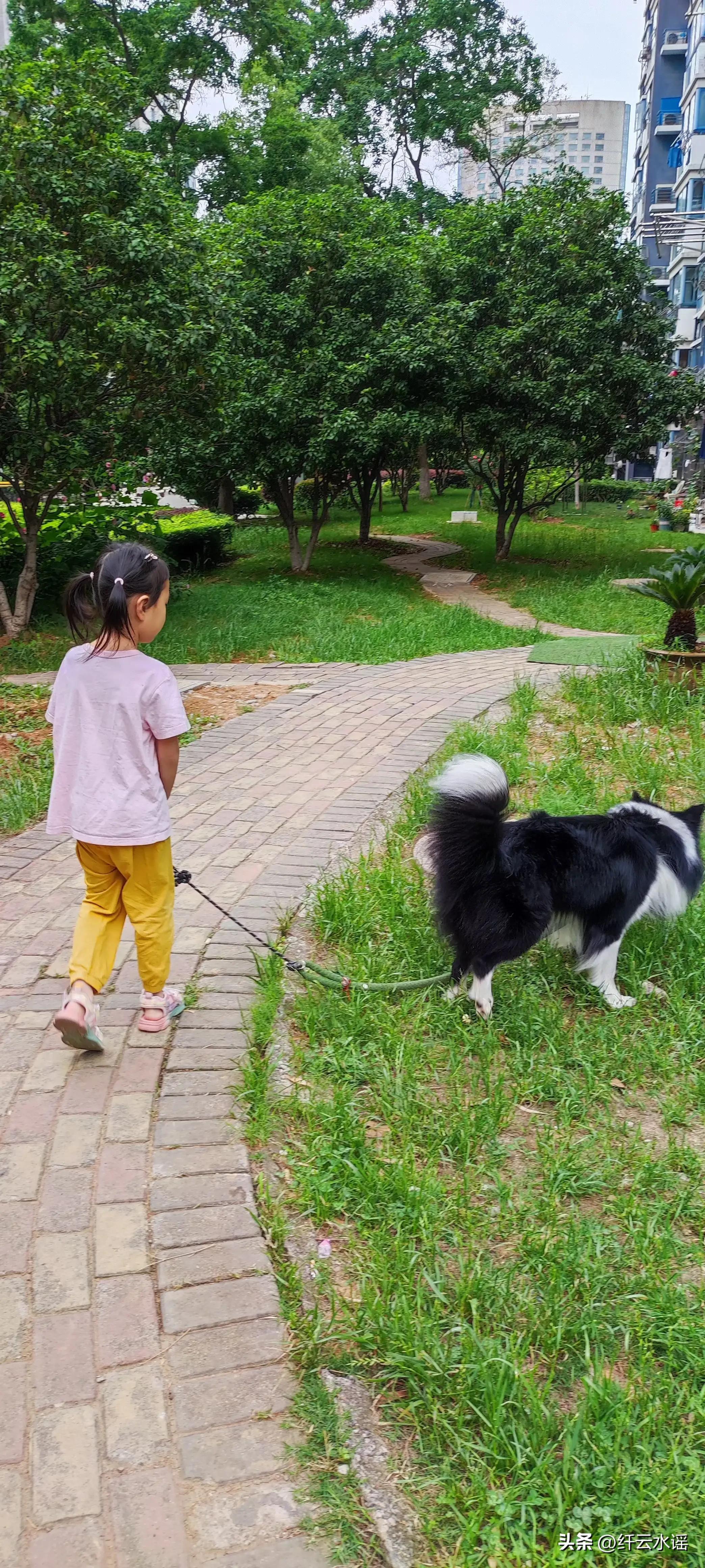 微头条写作方法和技巧,微头条的写作技巧