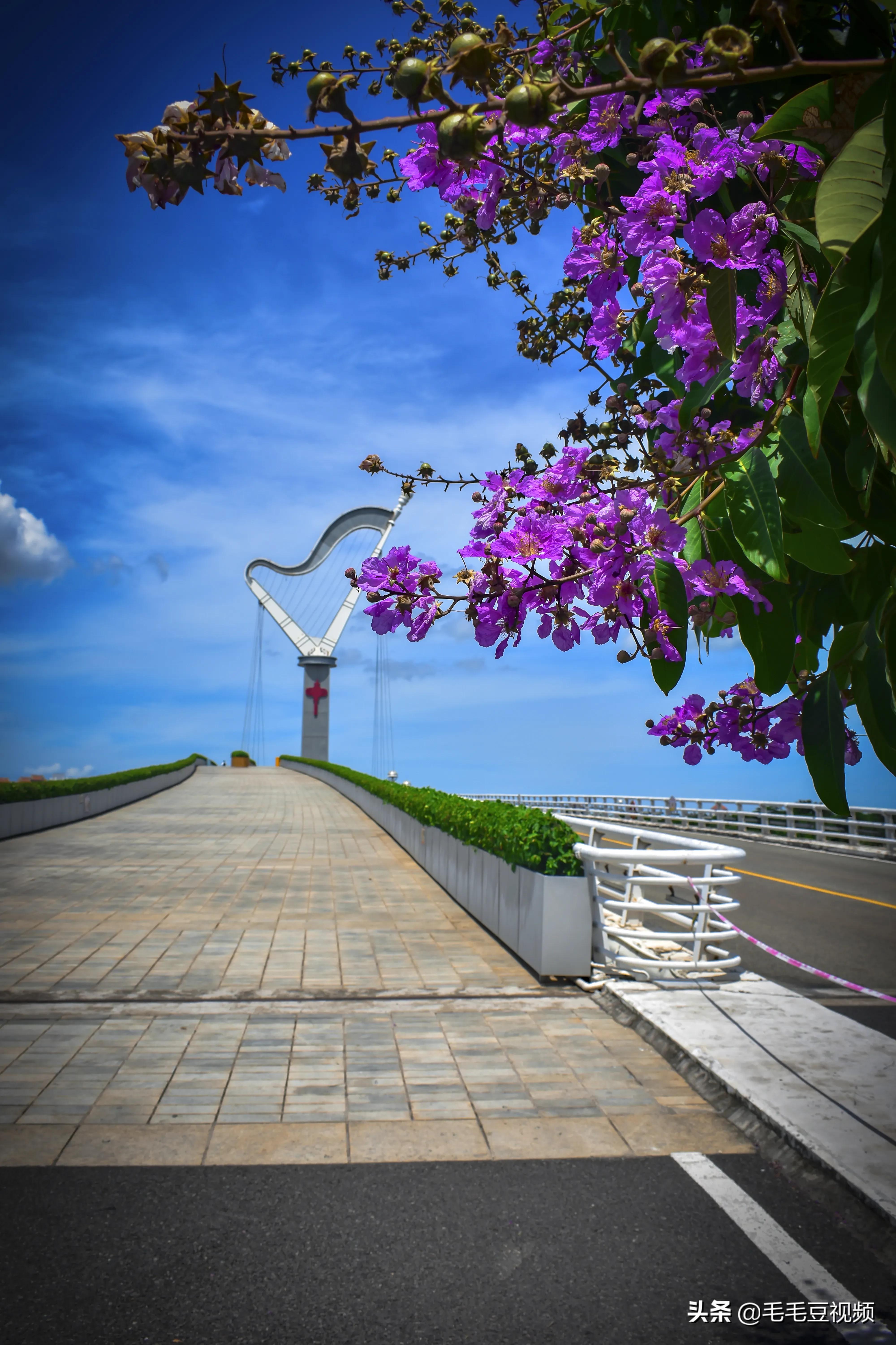 厦门适合初次约会的景点,厦门约会免费景点攻略图