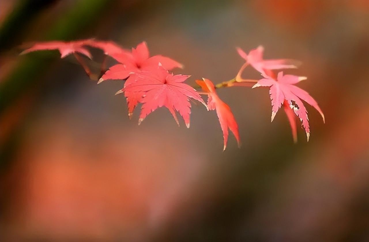 关于生活的10个真相，赶走你所有矫情