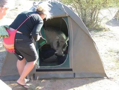 为什么永远不该去非洲？