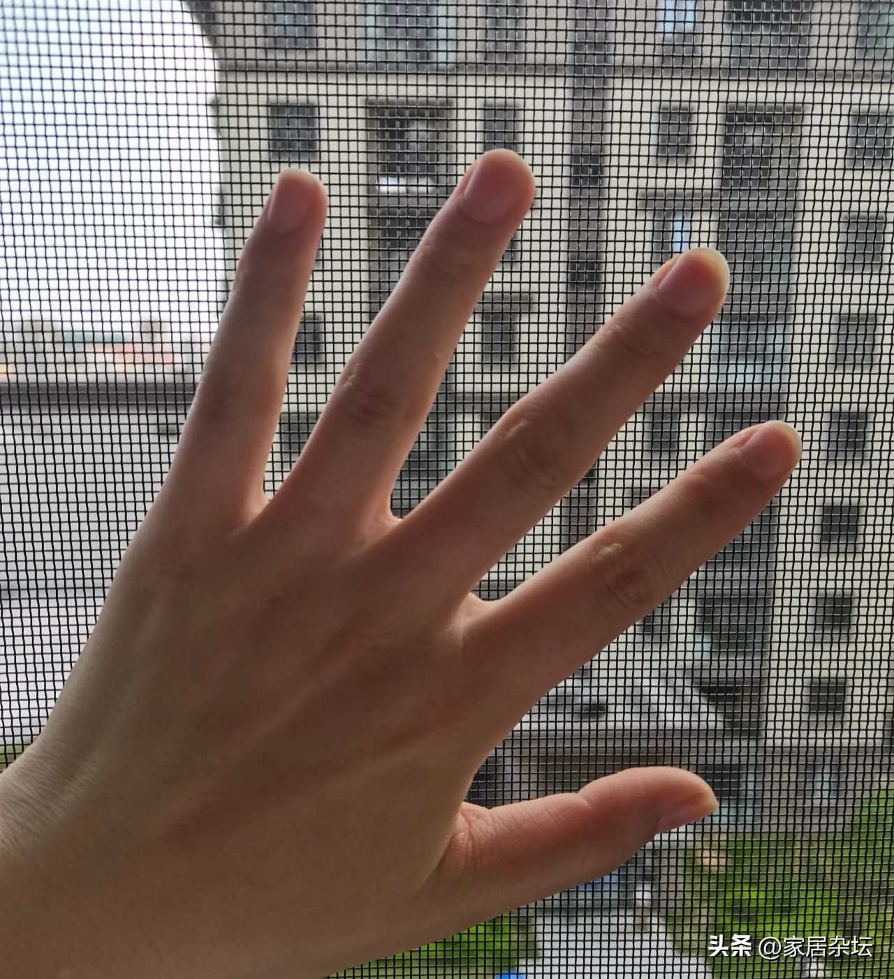 金刚网纱窗市场现状,金刚网纱窗总掉下来