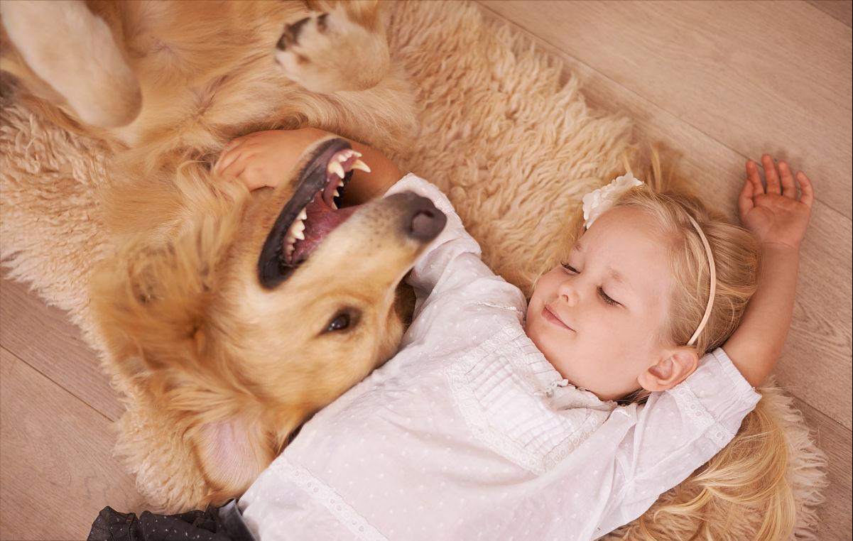 不常见的狗狗集合你都认识哪几只,建议养的10种狗中小型犬