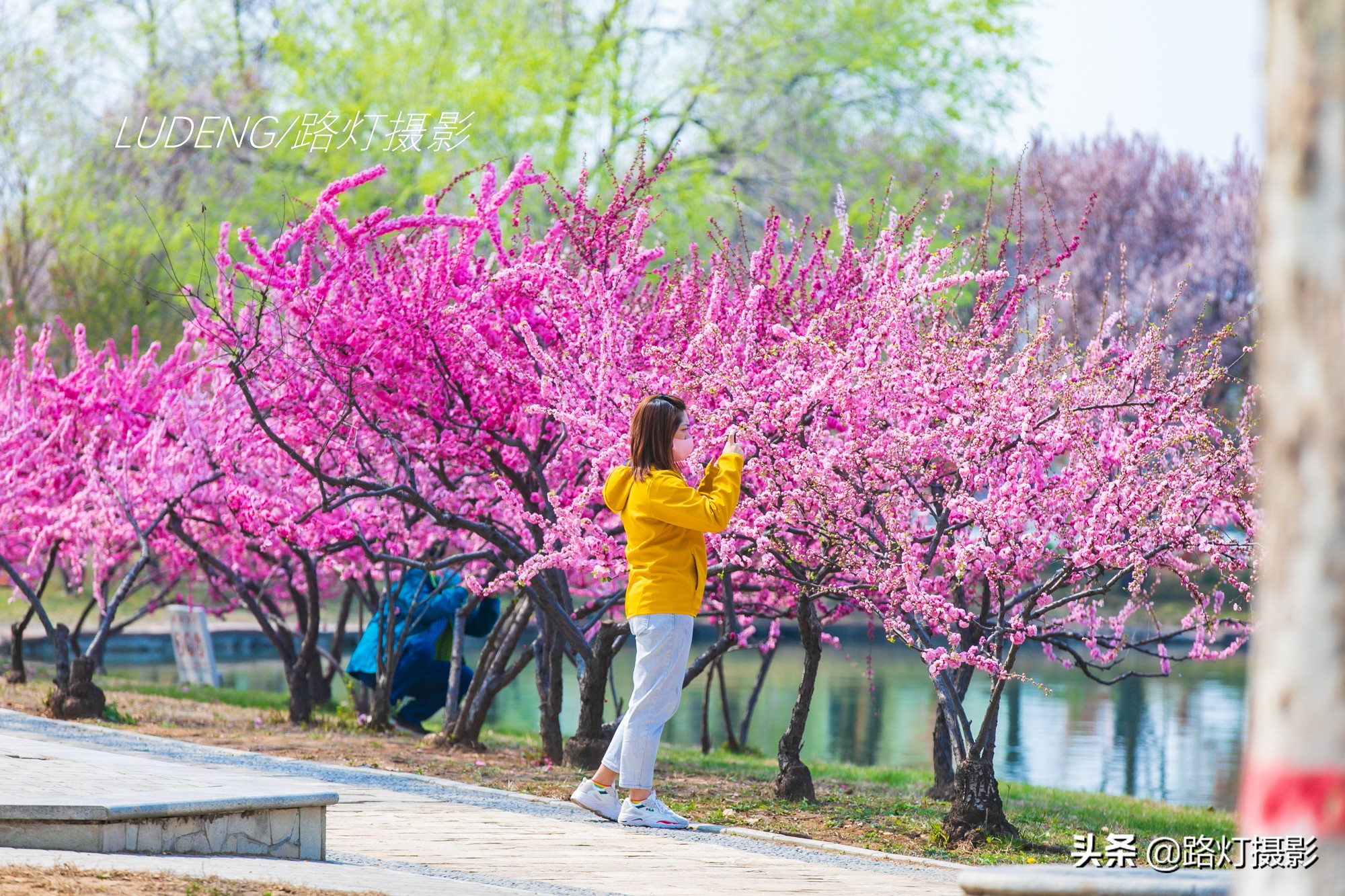 中国最美城市排名扬州,中国三月最美的地方扬州