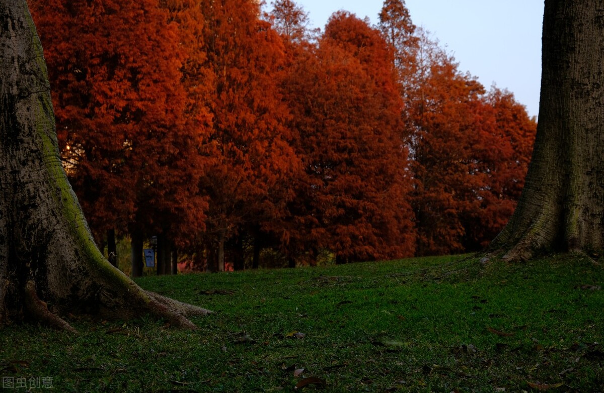 厦门旅游攻略必逛景点推荐,厦门攻略必逛景点一日游