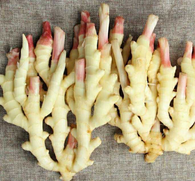 腌制清脆爽口的子姜,上海阿姨腌嫩姜