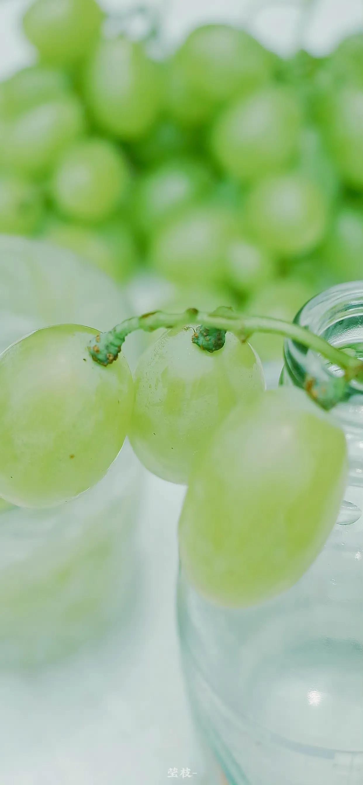 夏季清新凉快的壁纸高清,夏天一看就很凉爽的壁纸