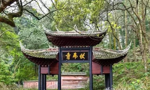 一等奖作品：《荡妇》（深度好文）