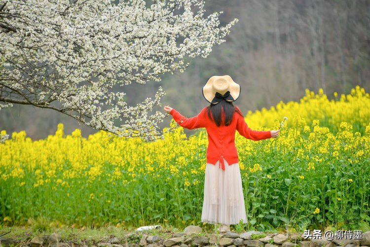 脸大拍照不好看怎么办,脸大不上镜的人怎么拍视频