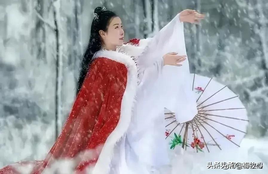 紫石金麟|咏梅七律三十韵②（二叠韵合集）