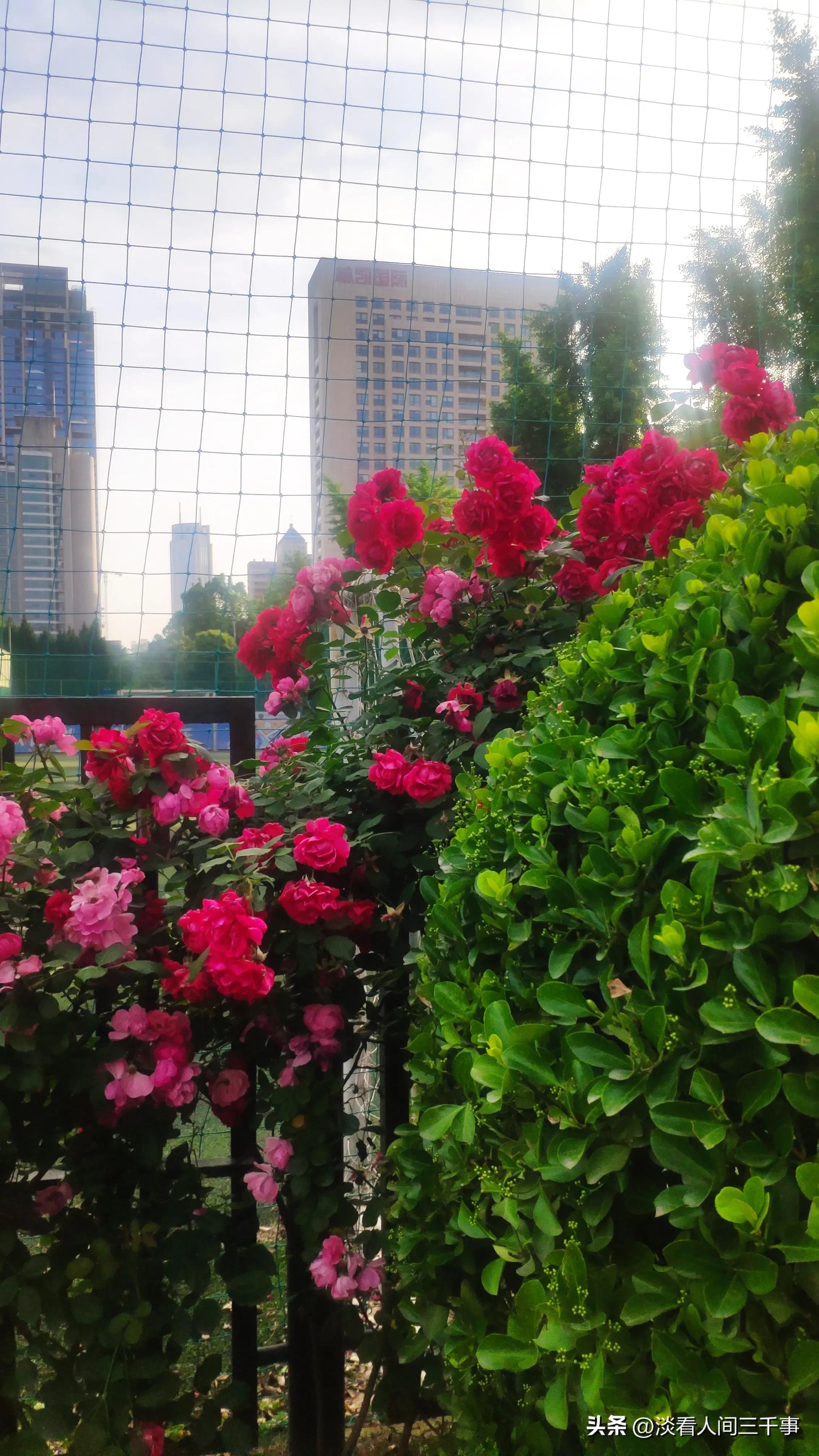 西安雁塔区新纪元公园,新纪元公园西安