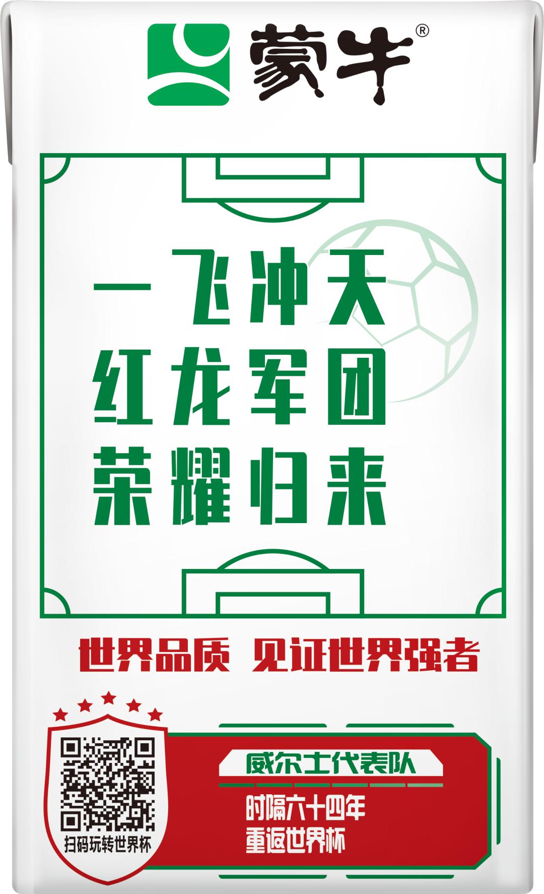 世界杯足球员故事,世界杯队长纪录片第四集