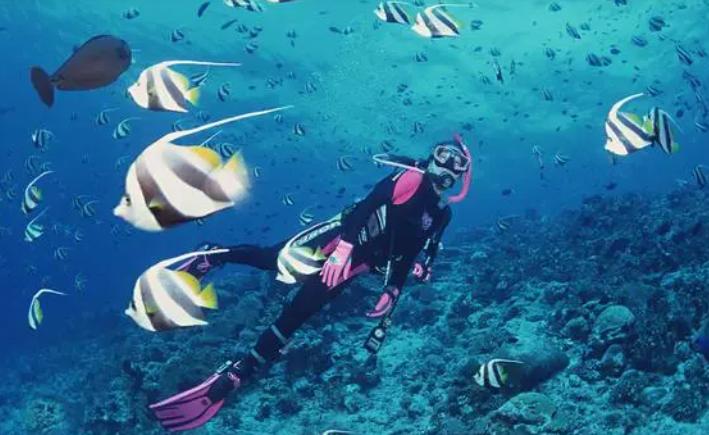 翼装飞行三人魂断天门山,天门山极限运动翼装飞行