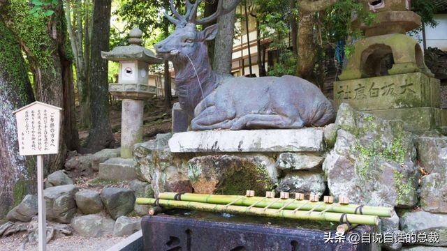 超级血液代表着什么,超级血液是啥