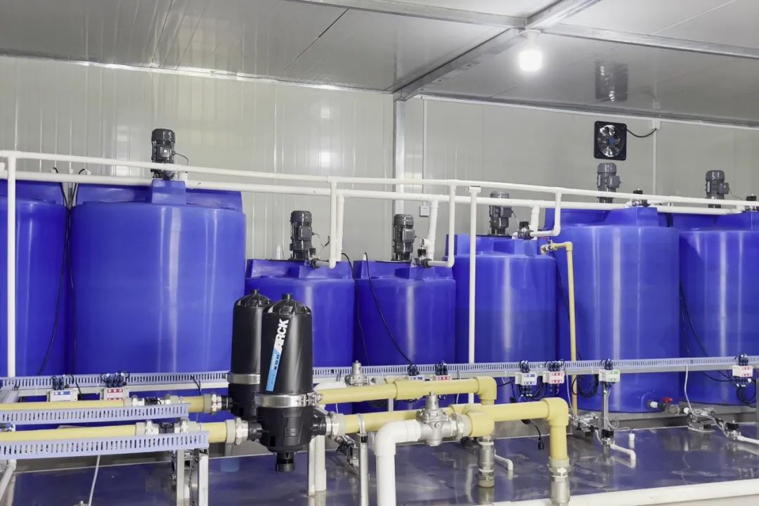 雾培蔬菜种植技术视频,在家水培蔬菜水果种植技术